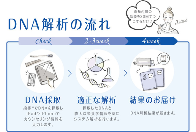 DNA解析の流れ