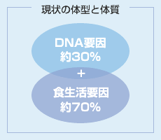 現状の体型と体質